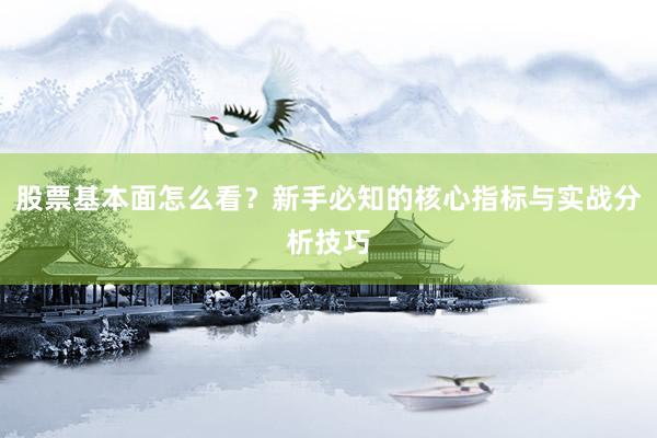 股票基本面怎么看？新手必知的核心指标与实战分析技巧